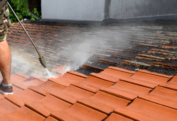 Best Commercial Pressure Washing  in Tsaile, AZ