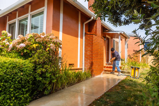 Best Pressure Washing Contractors  in Tsaile, AZ