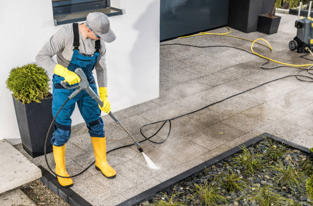 Best Deck Pressure Washing  in Tsaile, AZ