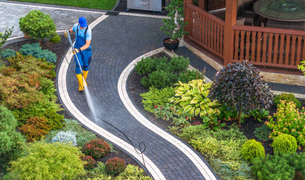 Best Roof Power Washing Services  in Tsaile, AZ