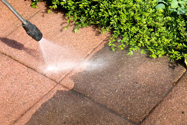 Best Commercial Building Pressure Washing  in Tsaile, AZ